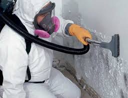 Best Biohazard Mold Removal  in Garner, NC